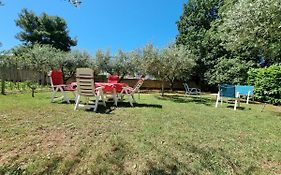 Apartman Vito